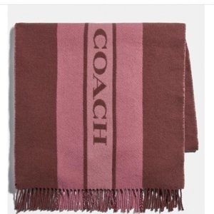 $98 *NEW* Coach Varsity Stripe Oversized Muffler